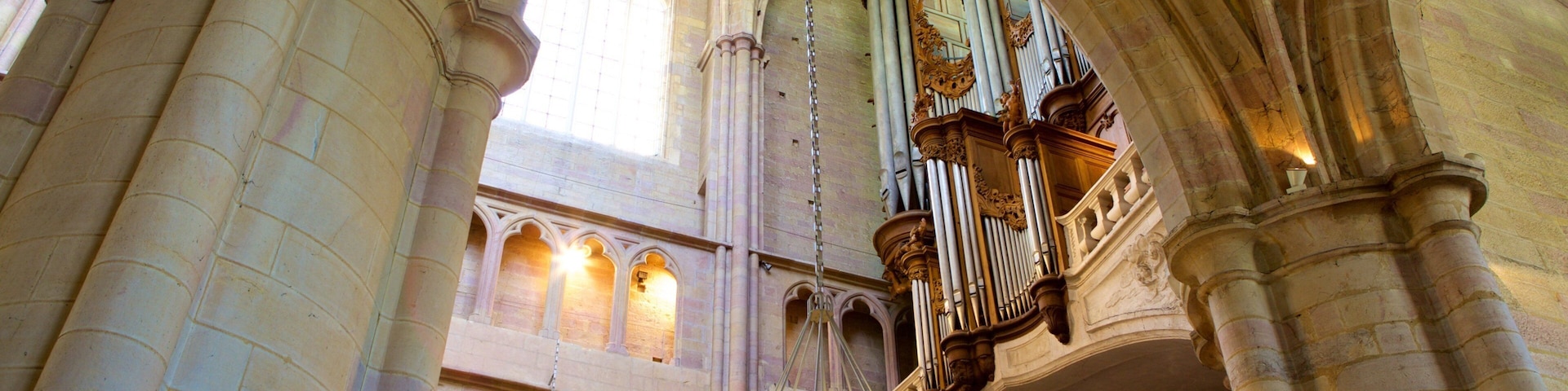 Catedral de Dijon ofreciendo vistas de interior, elementos patrimoniales y una iglesia o catedral