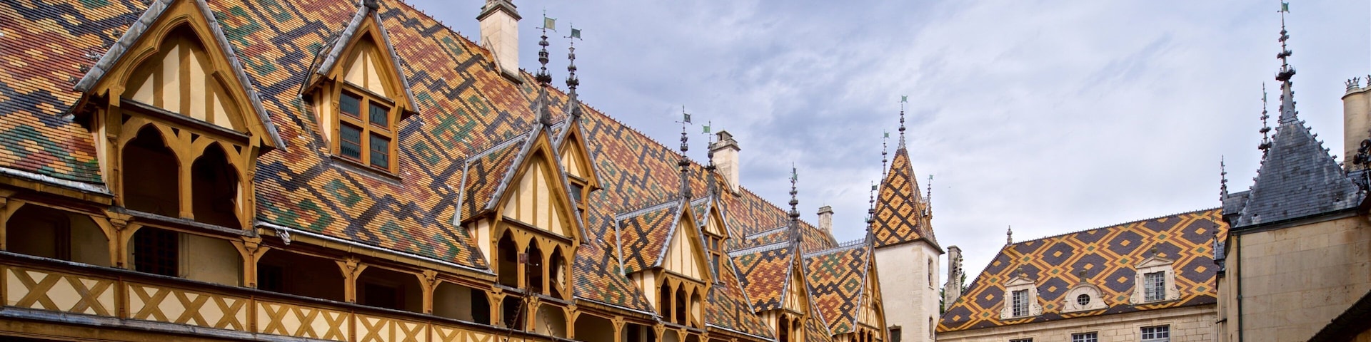 Hôtel-Dieu que inclui uma cidade