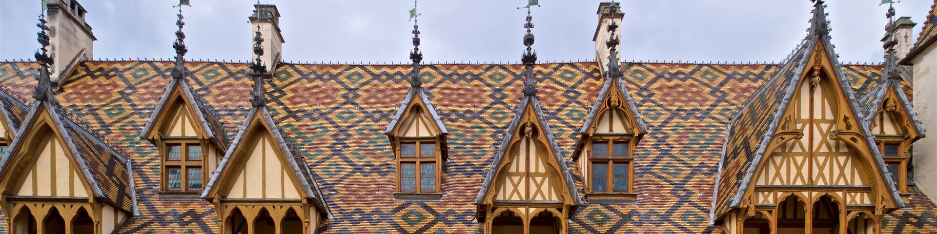 Hotel Dieu showing heritage elements