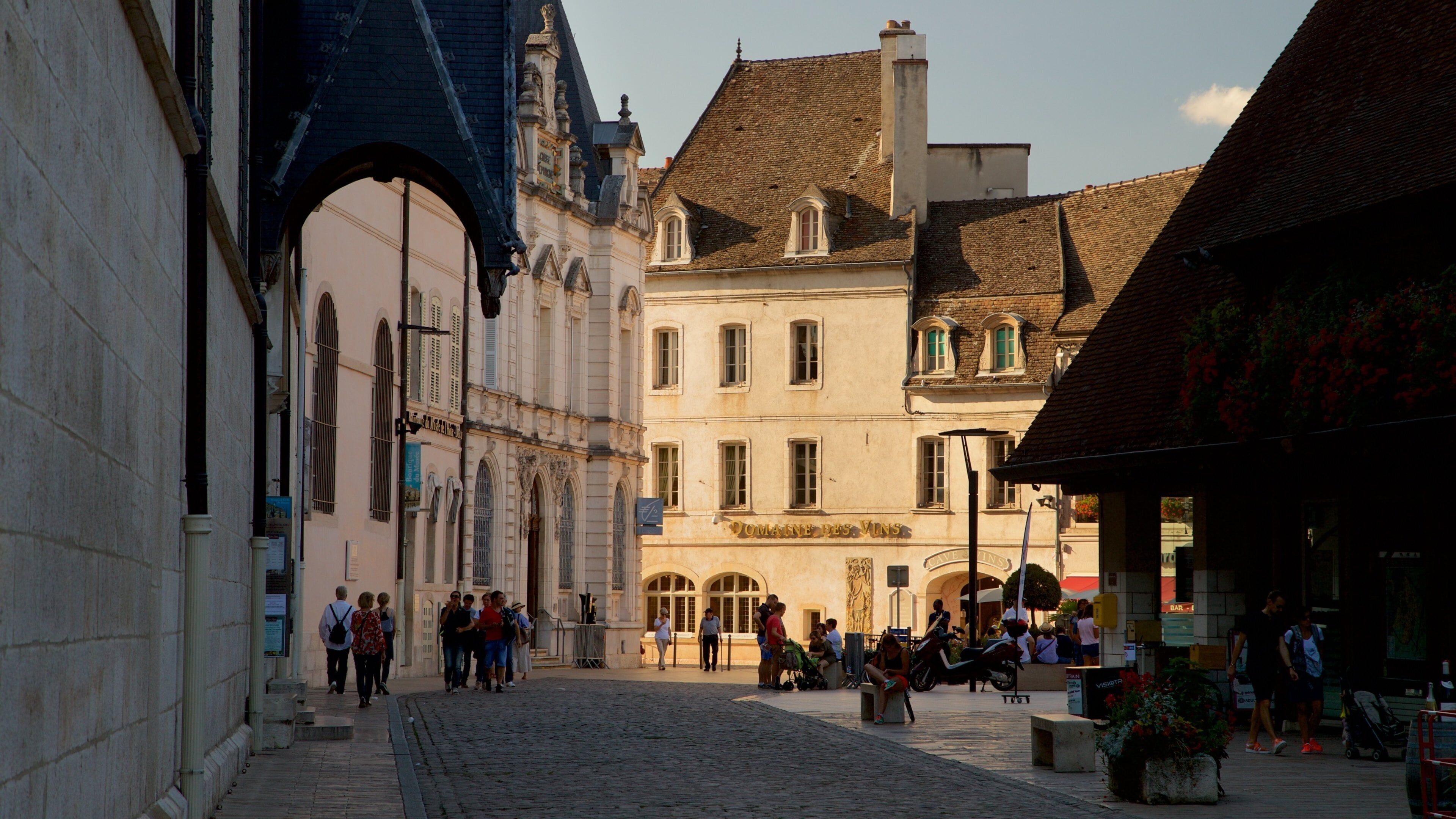 Hotel Dieu mostrando escenas urbanas y también un pequeño grupo de personas