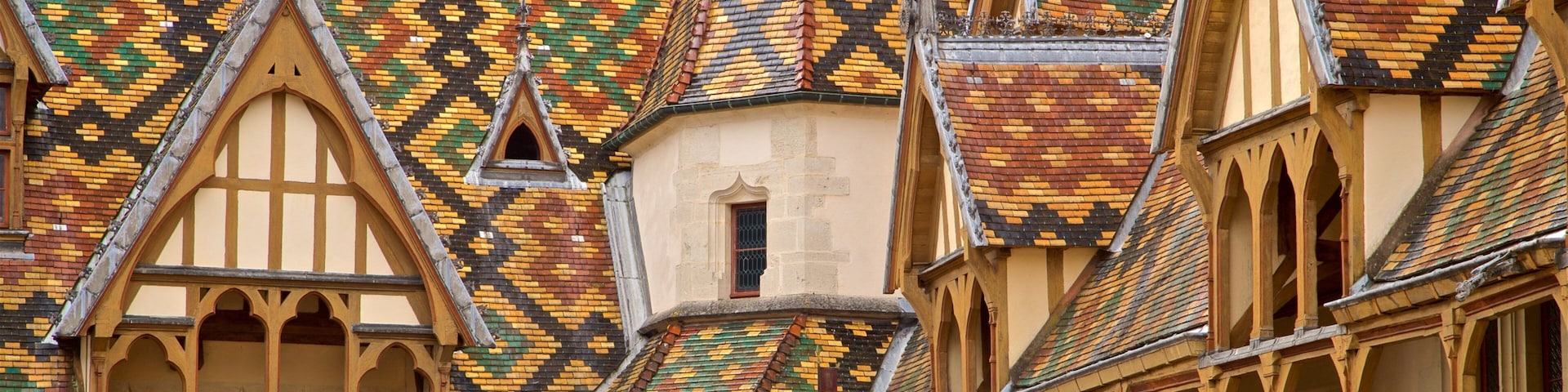 Hotel Dieu showing heritage elements