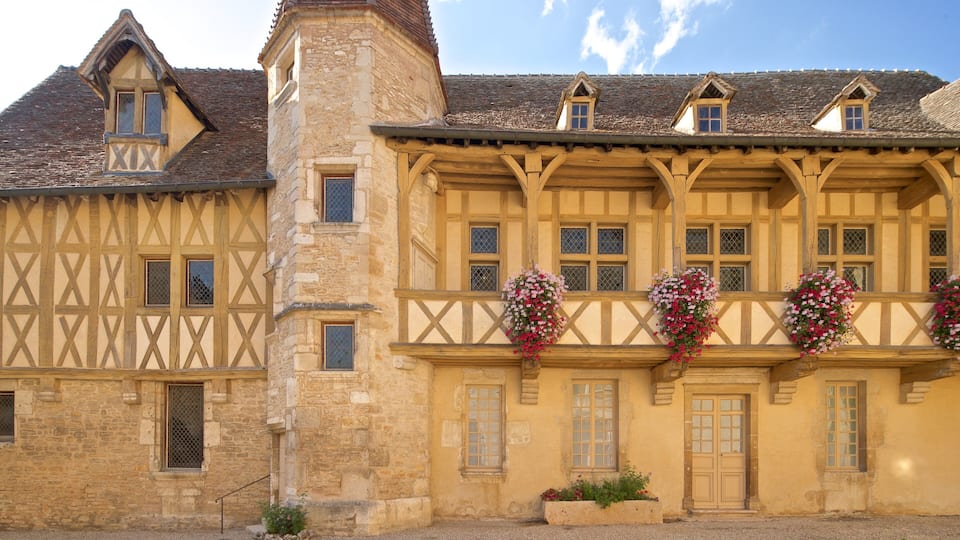 Museum for burgundervin fasiliteter samt blomster