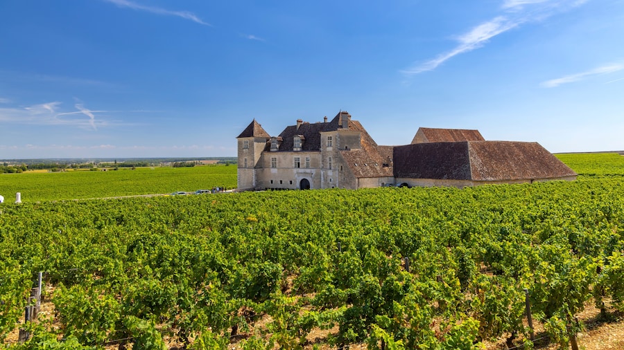Castello Château du Clos de Vougeot