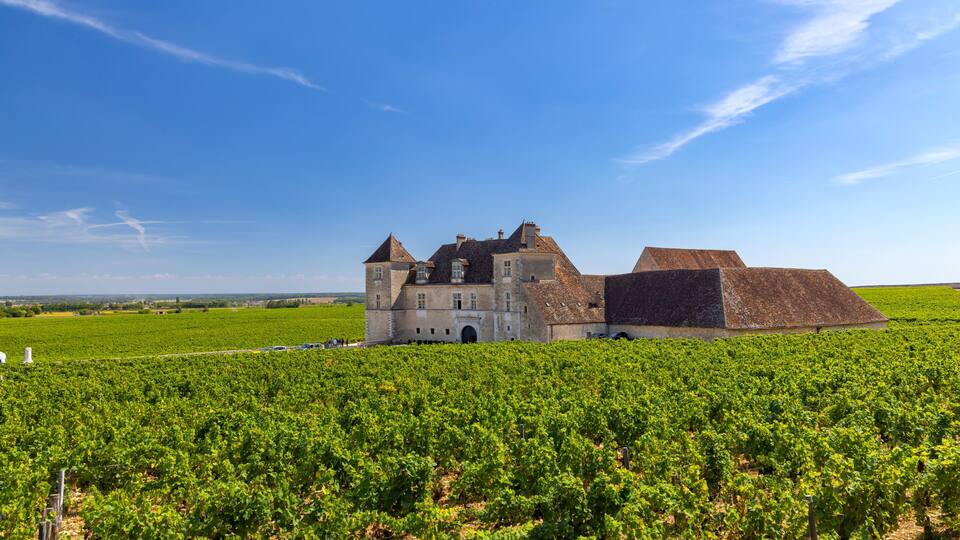 A large estate with a vineyard in the foreground and a historic building with a steep roof in the background.
