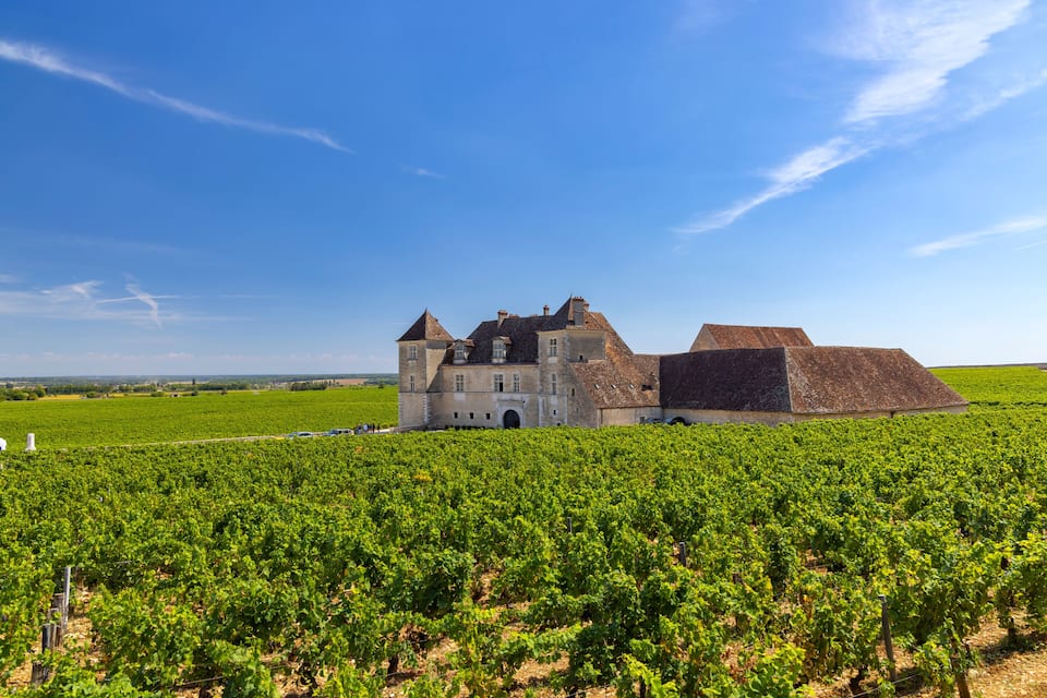 A large estate with a vineyard in the foreground and a historic building with a steep roof in the background.