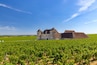 Château du Clos de Vougeot
