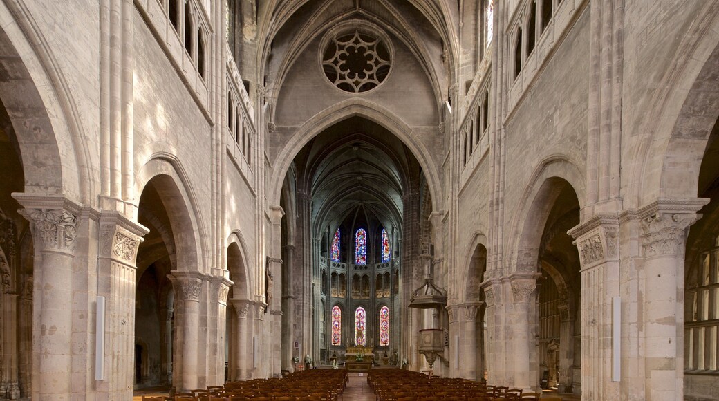 Cathédrale de Chalon montrant vues intérieures, patrimoine historique et église ou cathédrale