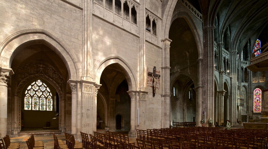 Cathédrale de Chalon qui includes église ou cathédrale, vues intérieures et patrimoine historique