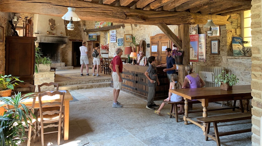 Fun spot to taste some wine, have a picnic, and wander the owner’s eclectic collection of fighter planes (over 100!), firetrucks, race cars, satellites, hovercrafts and more. The owner continues to expand his collection, so chances are he’ll have something new when you arrive!