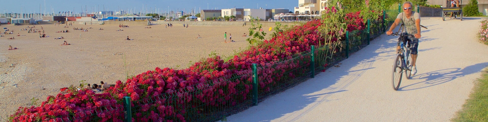 Minimes Beach which includes a beach and flowers as well as an individual male