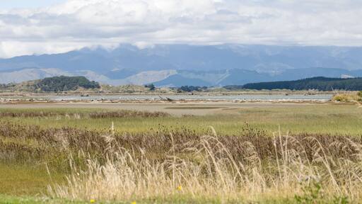 Landscape View of Foxton Estuary