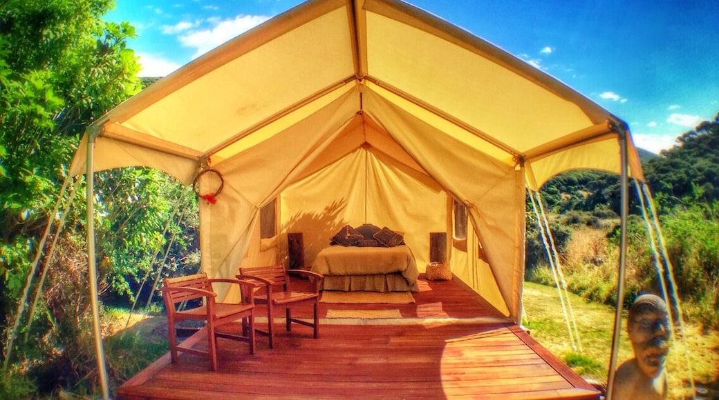 Kapiti Island is an hour north of Wellington, New Zealand and one of the original nature reserves and bird sanctuaries here. Many go as a day trip but you can overnight on the island and go on walks looking for the endangered Kiwi, New Zealand's emblem. They are nocturnal so it's one of the best ways to see them in the wild and now you can even try glamping!