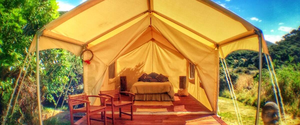 Kapiti Island is an hour north of Wellington, New Zealand and one of the original nature reserves and bird sanctuaries here. Many go as a day trip but you can overnight on the island and go on walks looking for the endangered Kiwi, New Zealand's emblem. They are nocturnal so it's one of the best ways to see them in the wild and now you can even try glamping!