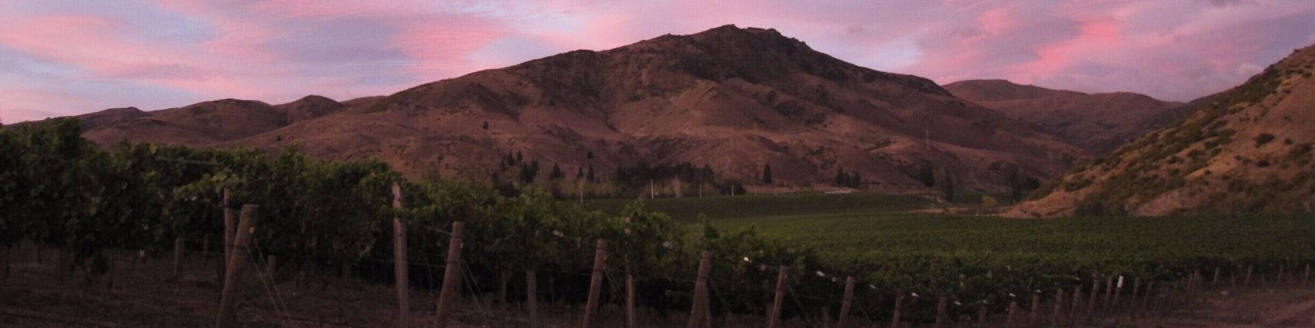 New Zealand travel can be a bit pricey. The group of us who were here to witness this glorious morning were taking advantage of New Zealand's working holiday visa. My partner and I were able to tour the islands for four months by working for a few weeks at a time. Definitely one of the best experiences ever.#goldenhour