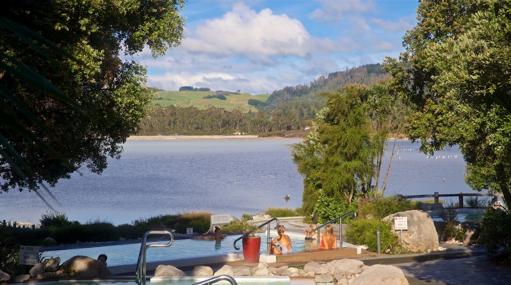 Polynesian Spa featuring a pool and a lake or waterhole as well as a small group of people