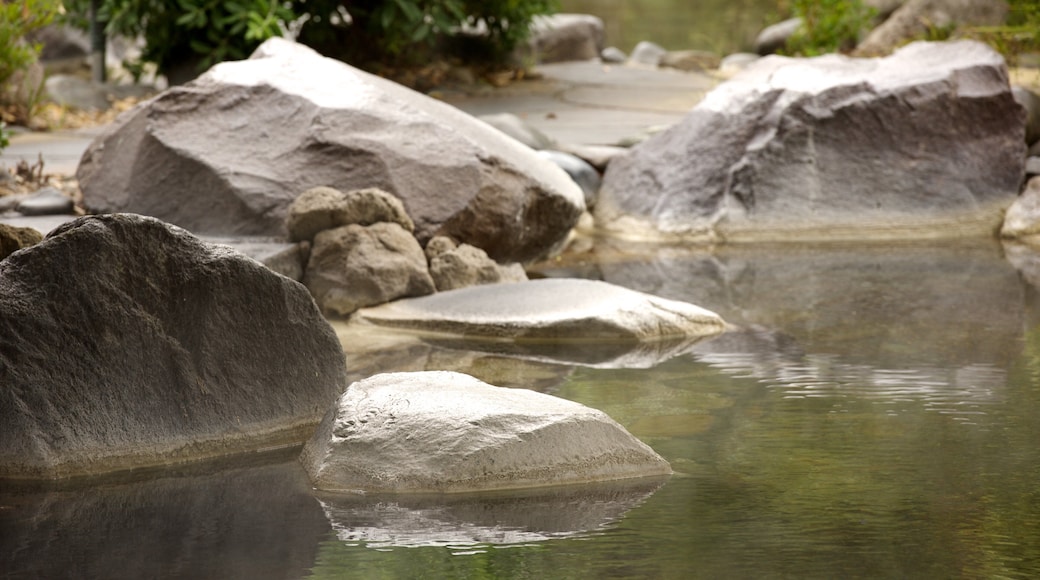 Polynesisk spa som omfatter en sø eller et vandhul