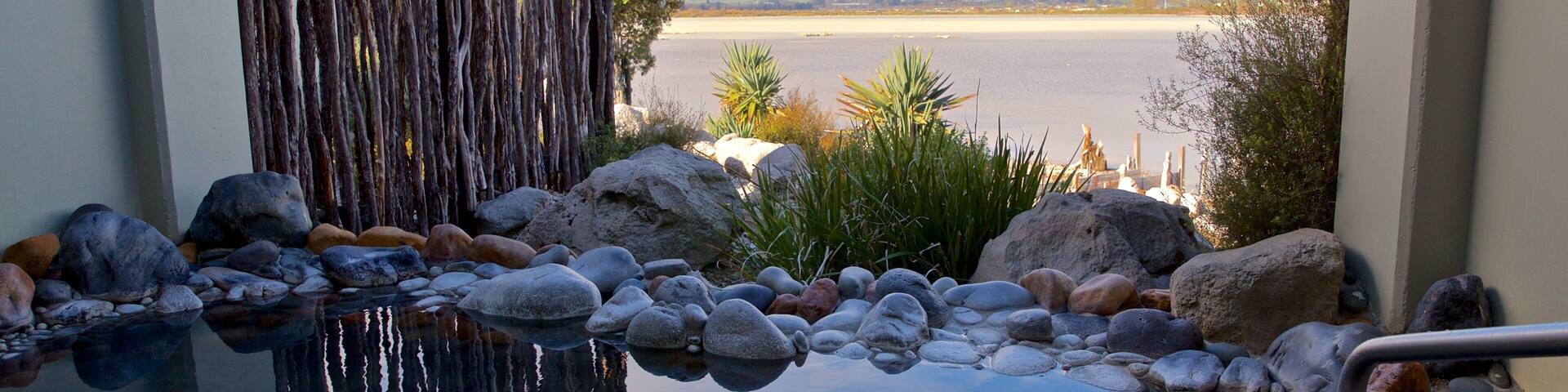 Polynesian Spa featuring a pool