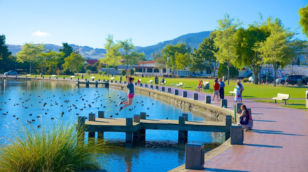 Lake Rotorua featuring a park and a lake or waterhole as well as a small group of people
