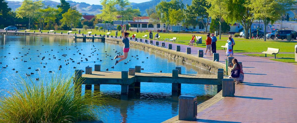 Lake Rotorua showing a park and a lake or waterhole as well as a small group of people