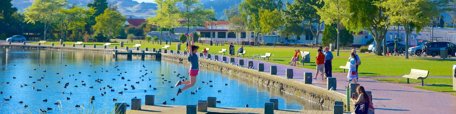 Lake Rotorua featuring a lake or waterhole and a garden as well as a small group of people