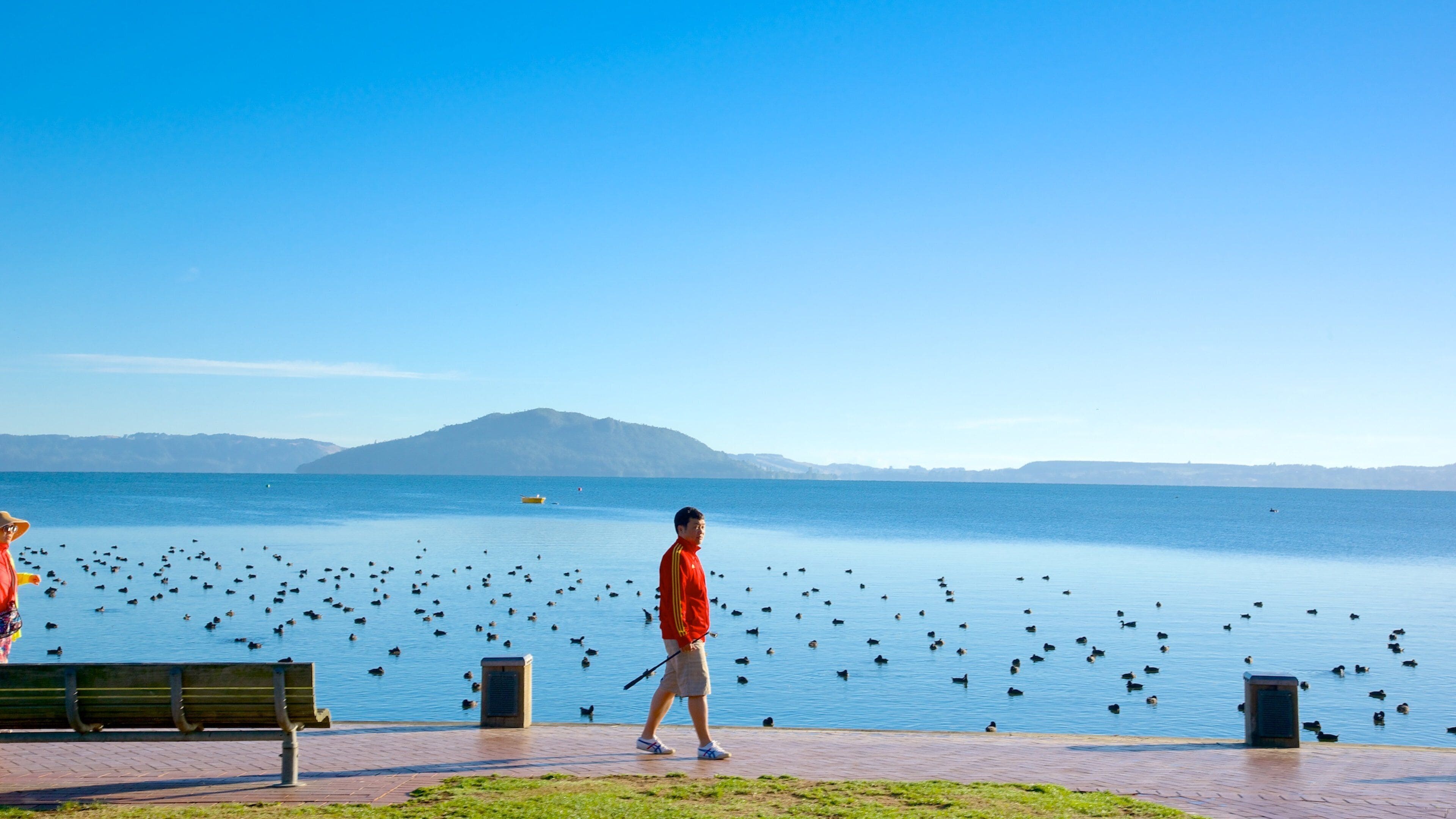 Una persona camina por un sendero junto al agua, con patos y una montaña distante.
