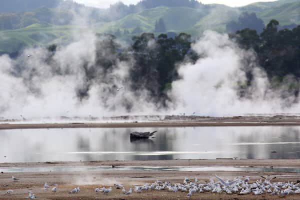Lake Rotorua