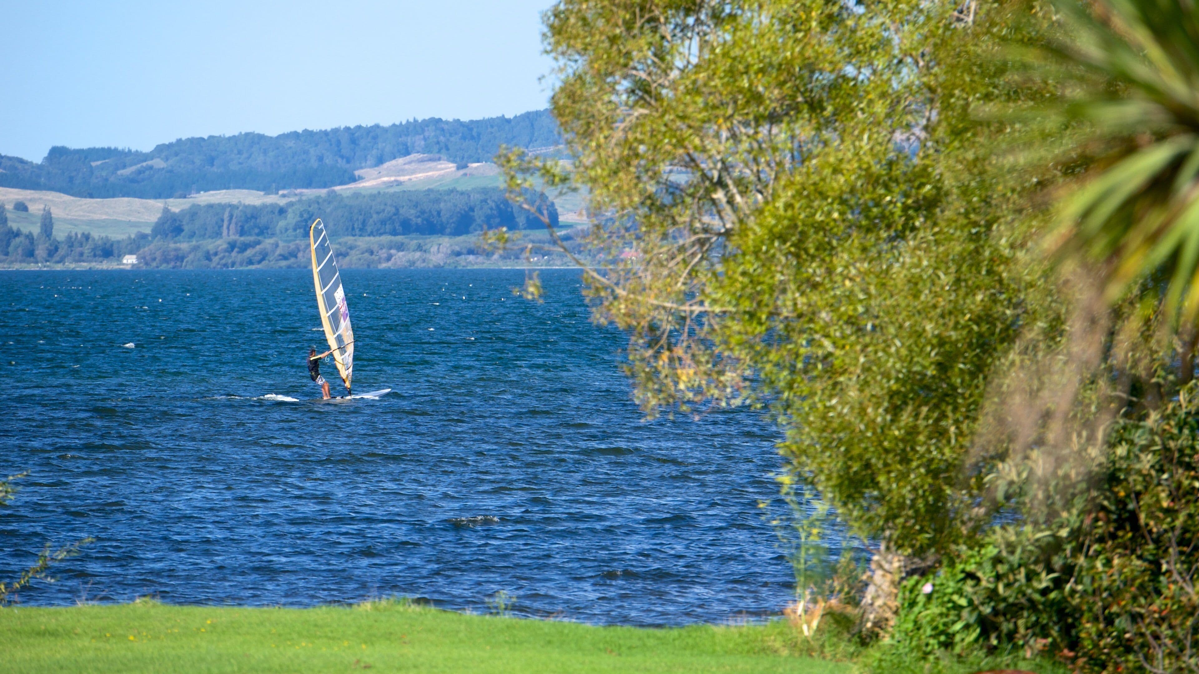 Lake Rotorua which includes windsurfing and a lake or waterhole