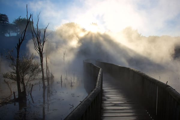 A wooden boardwalk leading through a misty forest with sunlight filtering through the trees.