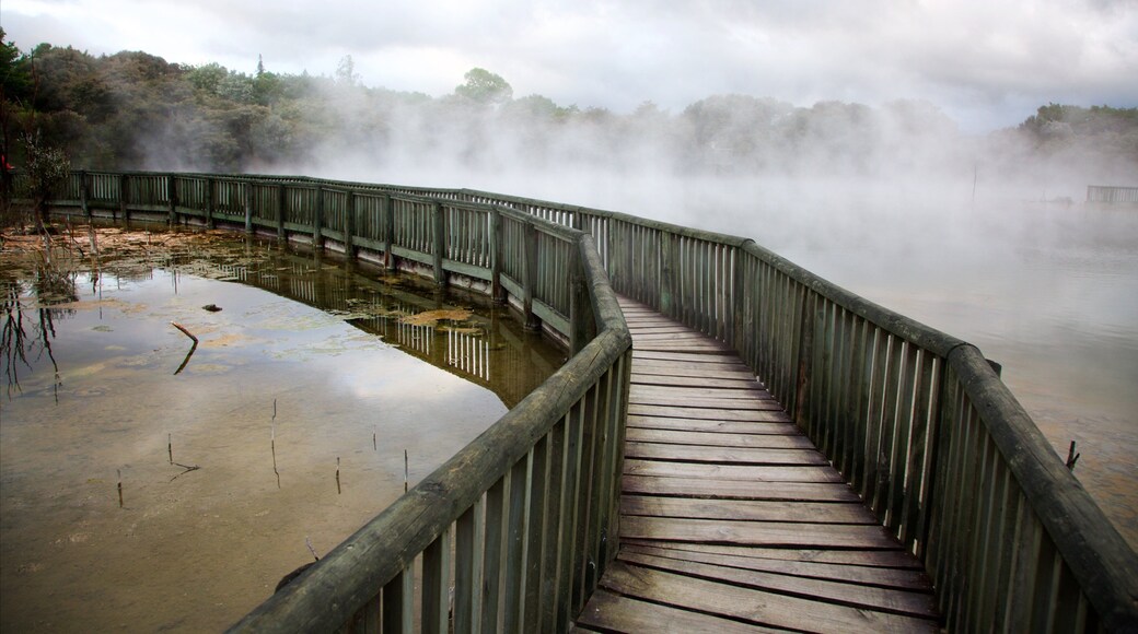 Kuirau Park showing a hot spring and mist or fog