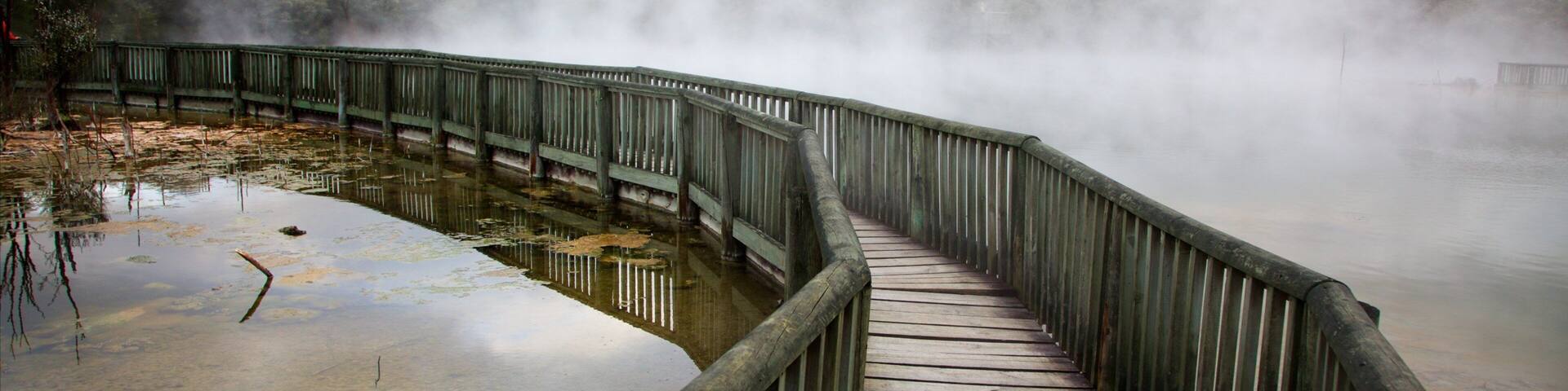Kuirau Park mit einem heiĂe Quelle und Nebel