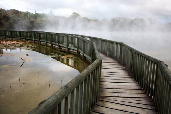 Kuirau Park mit einem heiĂe Quelle und Nebel