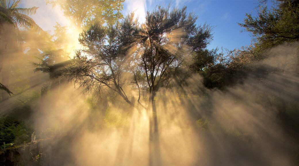 Kuirau Park which includes mist or fog and a garden