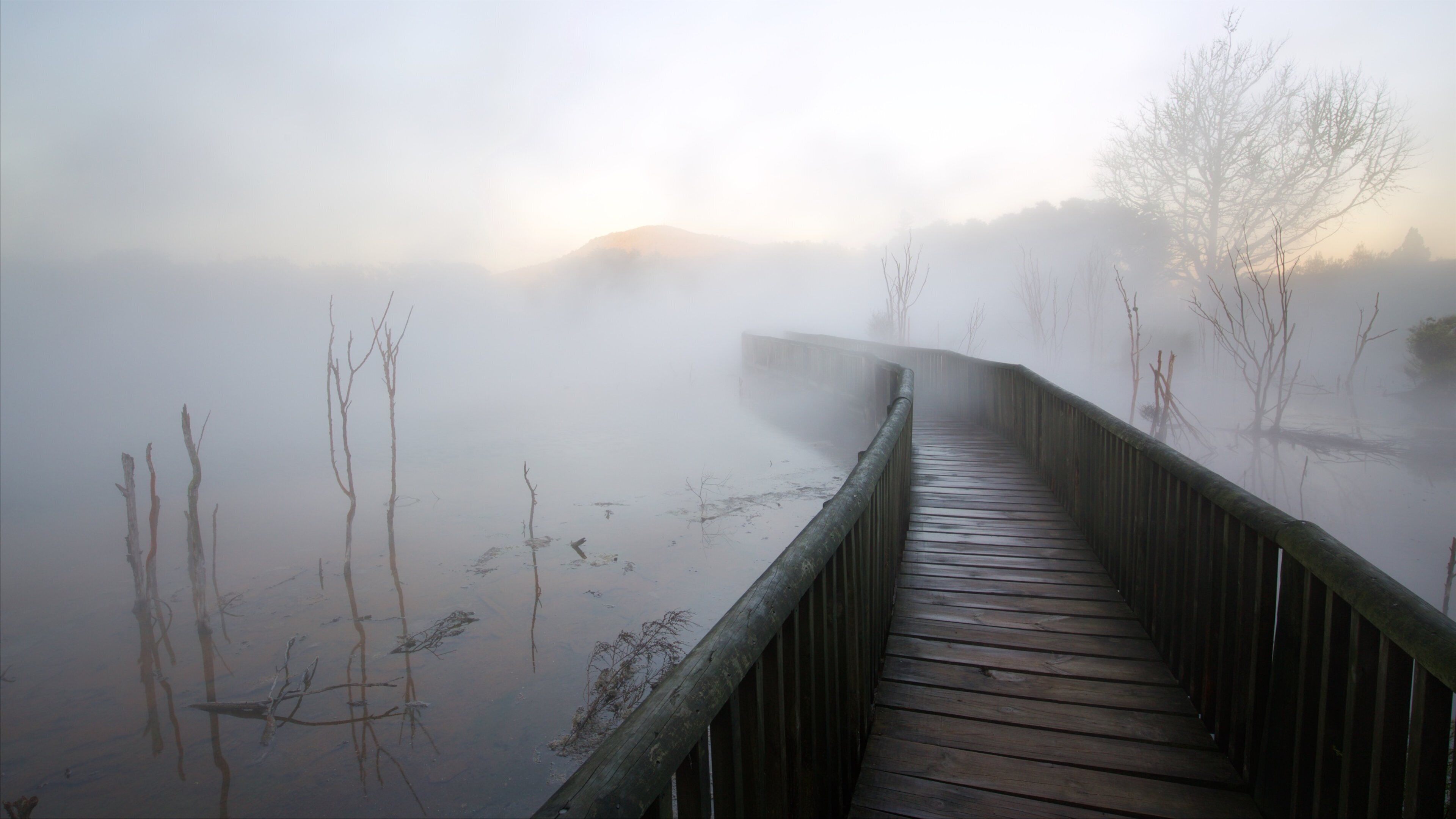 A wooden boardwalk leading through a foggy landscape with bare trees and a misty background.