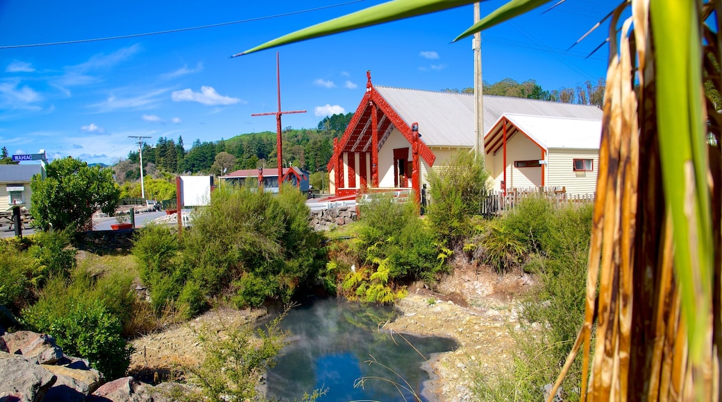 Whakarewarewa Thermal Reserve which includes a church or cathedral and a park