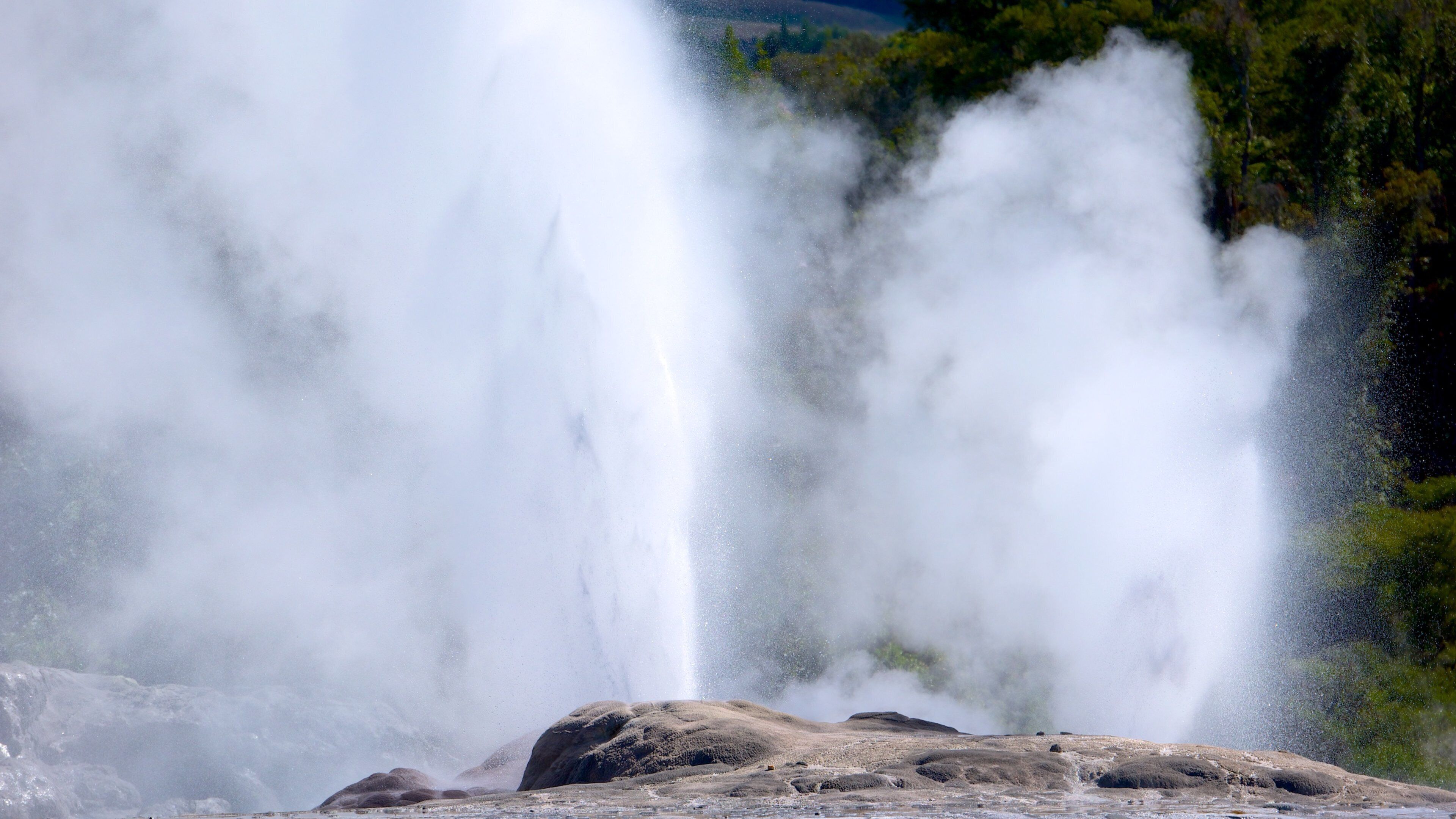 Whakarewarewa Thermal Reserve