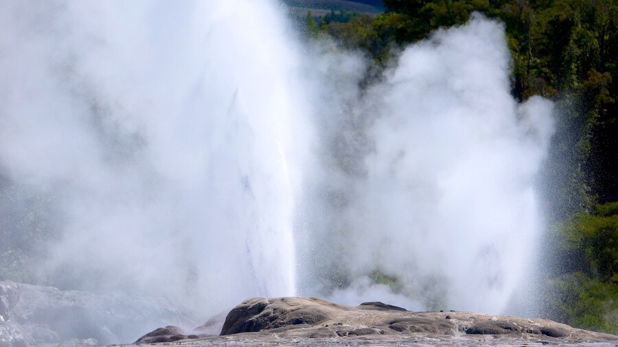 Whakarewarewa Thermal Reserve