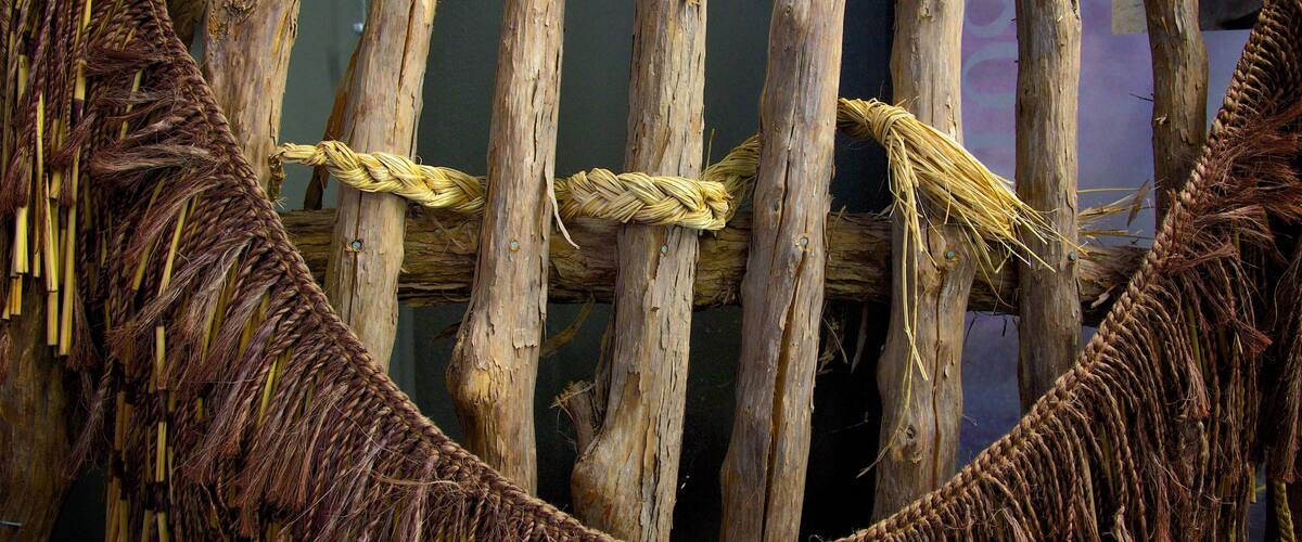 Whakarewarewa Thermal Reserve