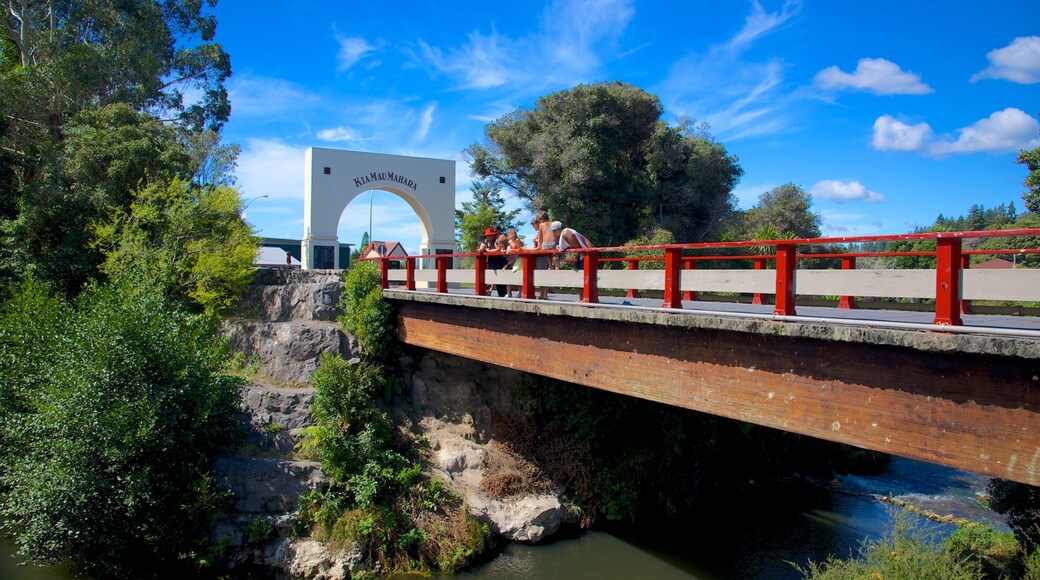 Whakarewarewa Thermal Reserve featuring a bridge and a river or creek