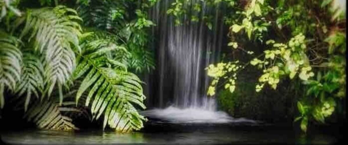 A waterfall surrounded by lush green foliage.