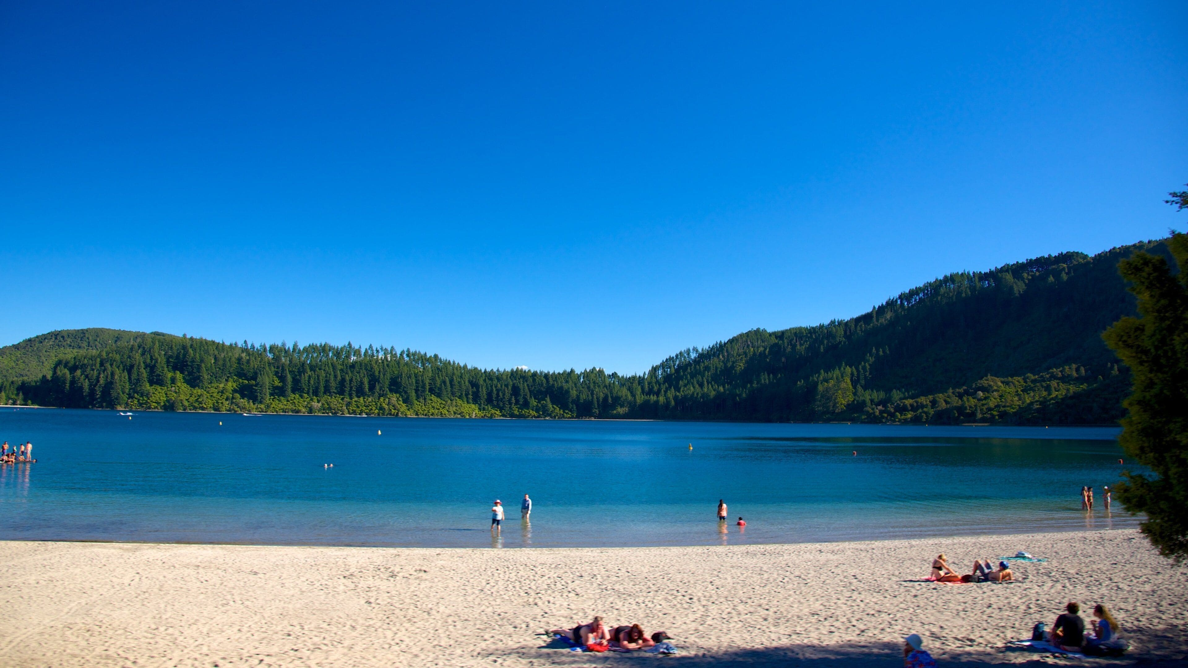 Lake Tikitapu som inkluderer sandstrand og landskap