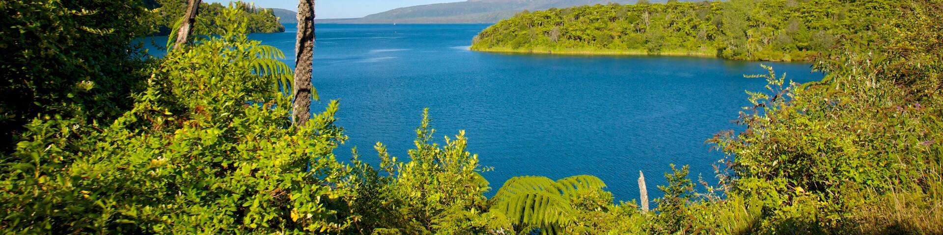 Lake Tikitapu featuring landscape views and a lake or waterhole
