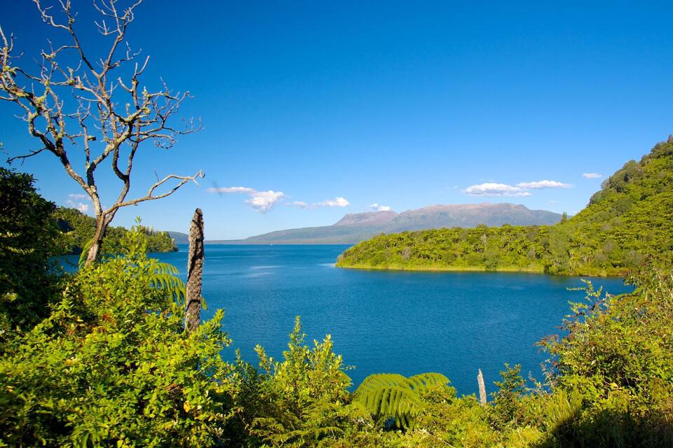 A clear blue lake surrounded by lush greenery and mountains in the distance.