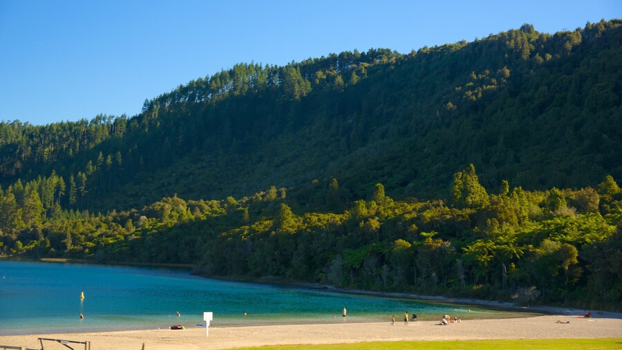 Lake Tikitapu featuring a beach