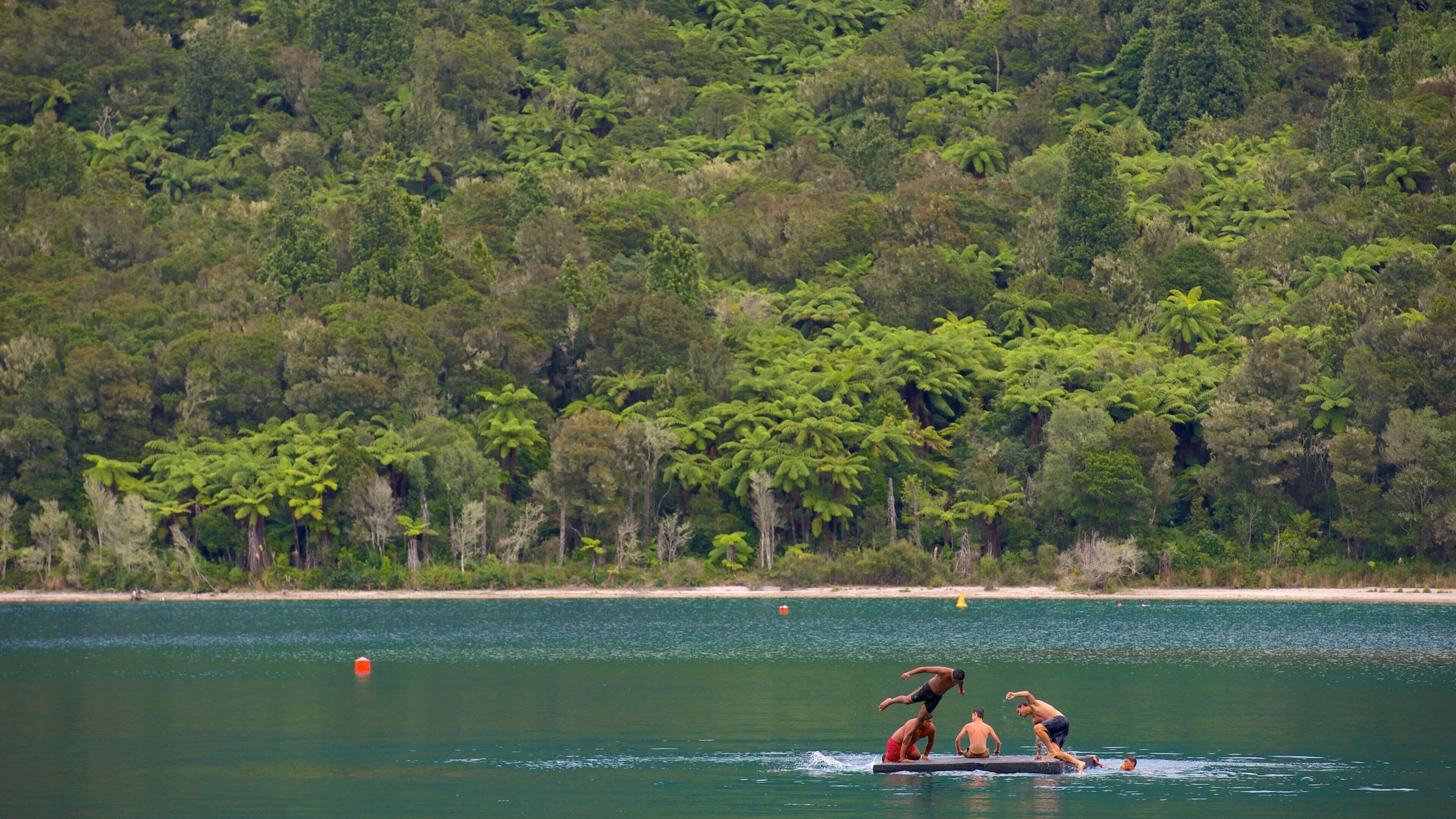 Rotorua which includes a lake or waterhole