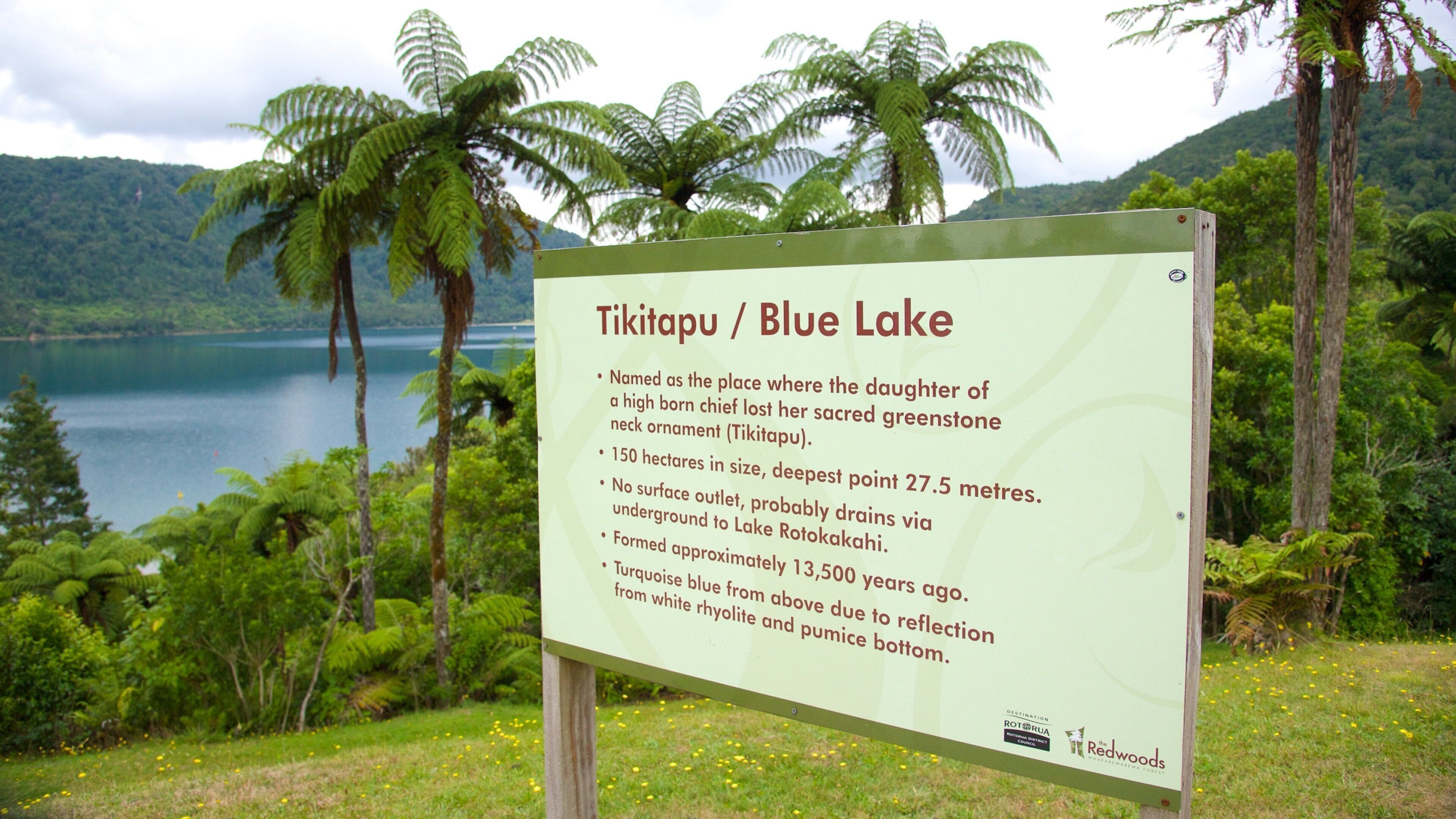 A sign about Tikitapu / Blue Lake with a scenic background of a lake and palm trees.