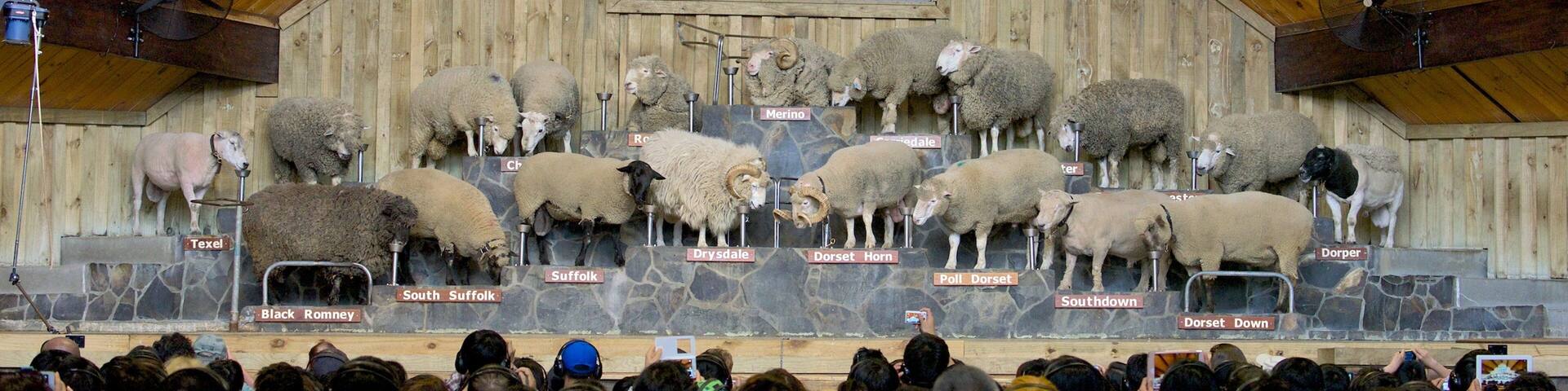 Agrodome which includes interior views as well as a large group of people