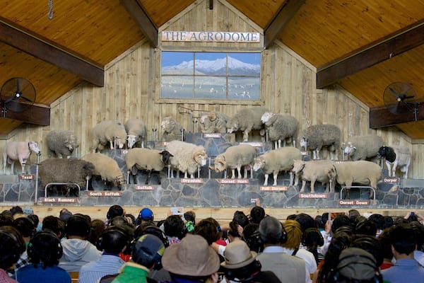 アグロドーム フィーチャー 屋内の眺め 及び 大勢の人々