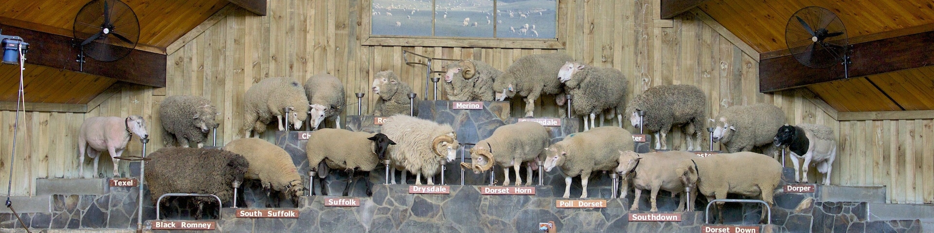 Agrodome mettant en vedette vues intérieures aussi bien que important groupe de personnes