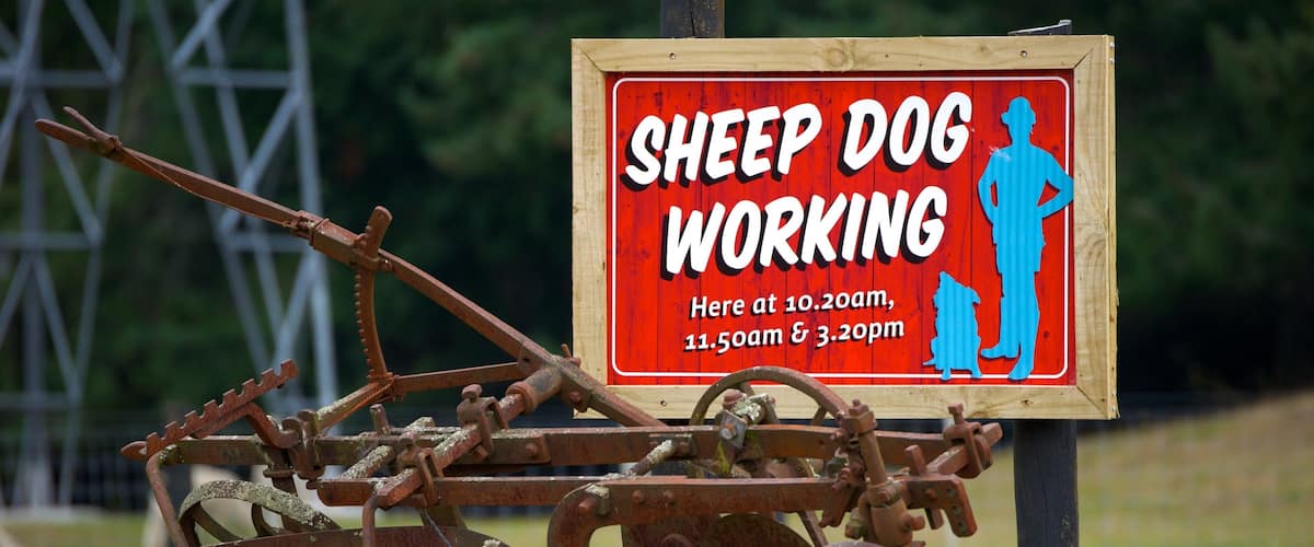 愛哥頓 其中包括 看板