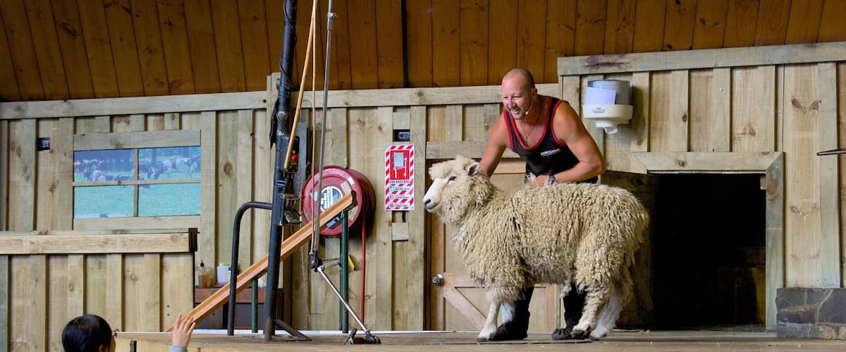 Agrodome which includes animals and farmland as well as an individual femail